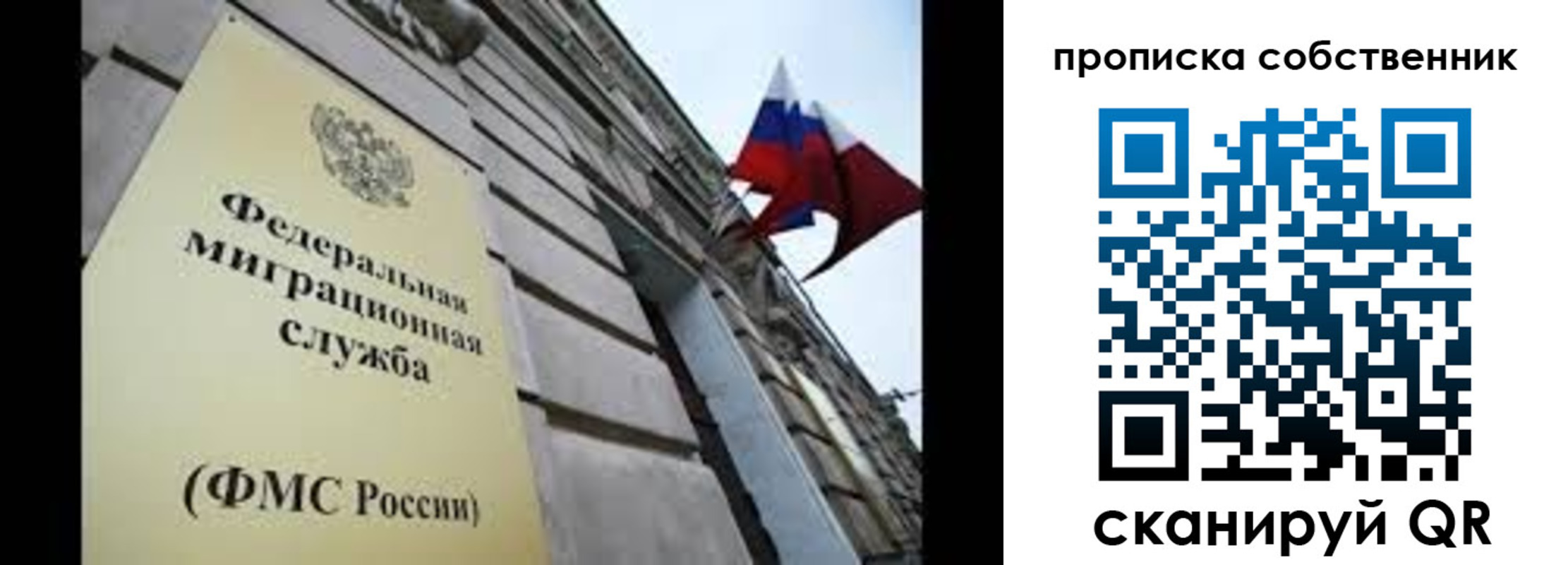 прописка гарантия в Клинцах